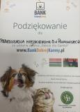 Zdjęcie 1