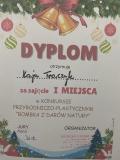 Zdjęcie 1