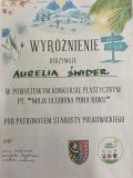 Zdjęcie 1