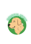 plakat golden retriver