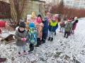 grupa biedronki